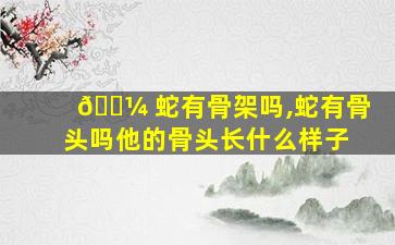 🌼 蛇有骨架吗,蛇有骨头吗他的骨头长什么样子
